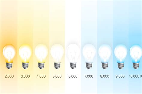 Infographic die de drie verschillende lichtkleuren (warm, neutraal, koud wit) toont en hun toepassingen.