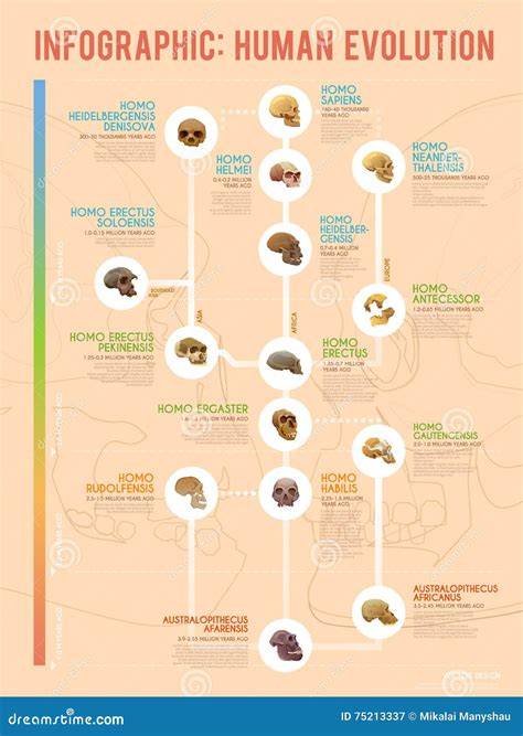 Infographic: Evolutie van vloeren in Nederlandse monumenten