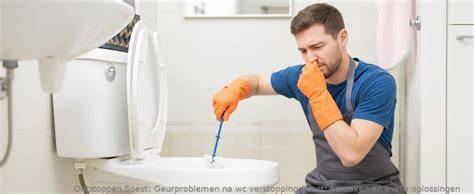 Infographic: Oorzaken van wc-verstopping en snelle oplossingsstappen