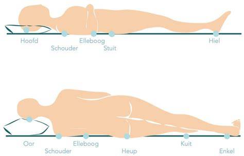 Diagram: Vochtige plekken waar stofluizen voorkomen
