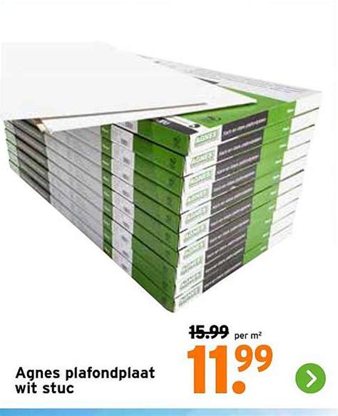 Gedetailleerde afbeelding van een Agnes plafondplaat met fijn wit stuc motief.