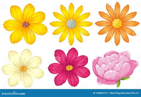 Illustratie van verschillende soorten voorstrijk (roze en geel)