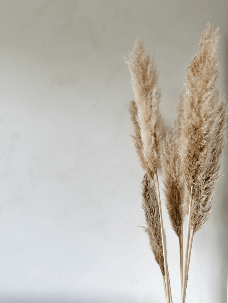 cotton cloud chalk paint lab